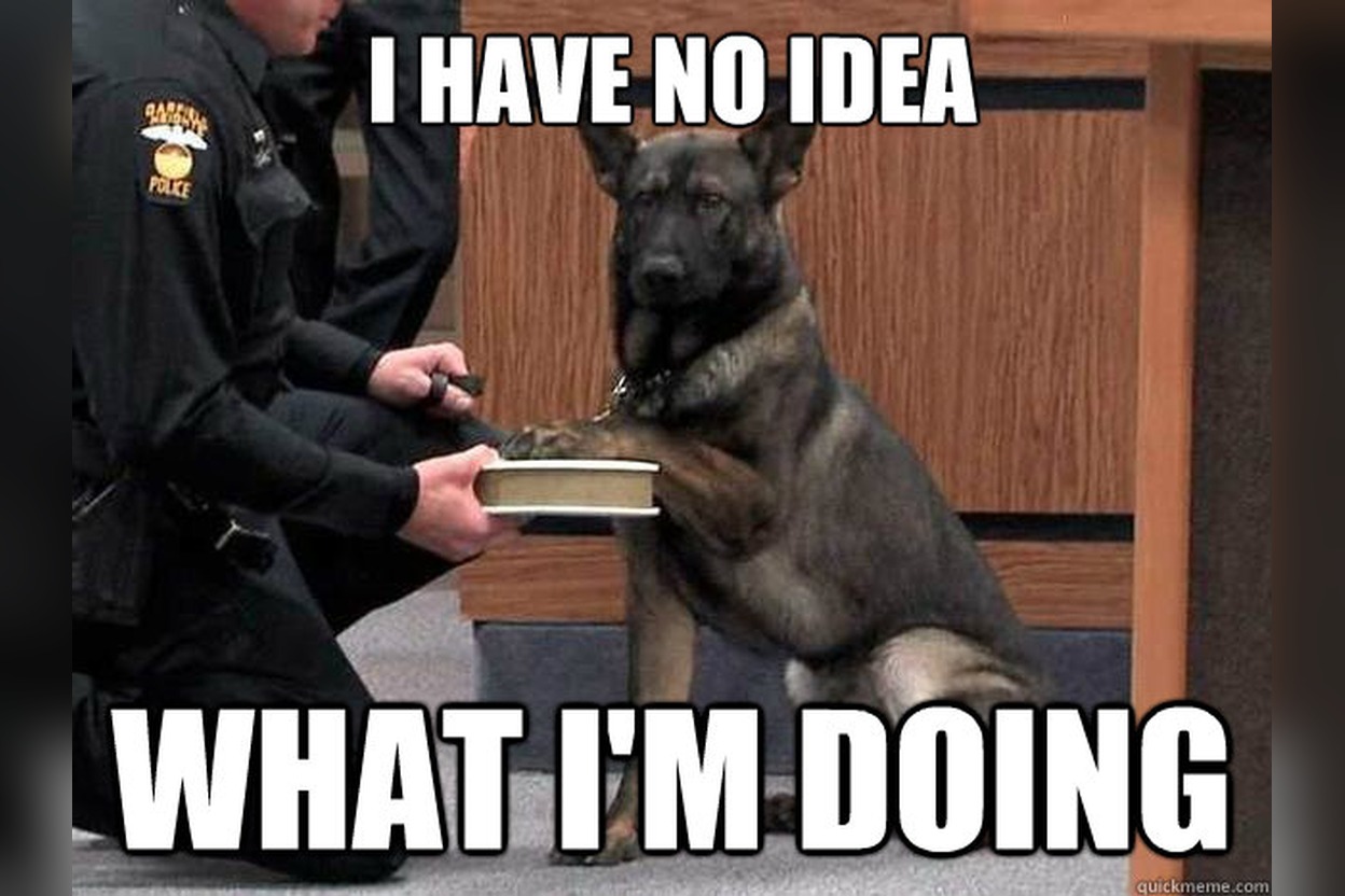 Meme: a police dog with its paw on a book, captioned 'I have no idea what I'm doing'